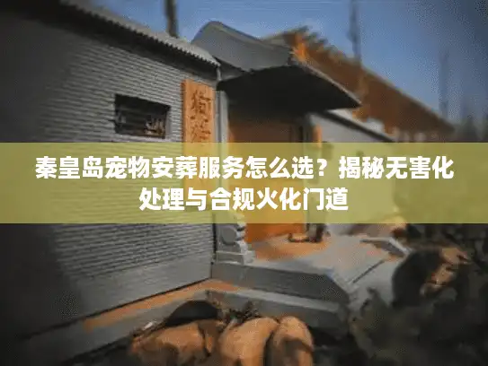 秦皇岛宠物安葬服务怎么选?揭秘无害化处理与合规火化门道 秦皇岛宠物安葬服务怎么选?揭秘无害化处理与合规火化门道