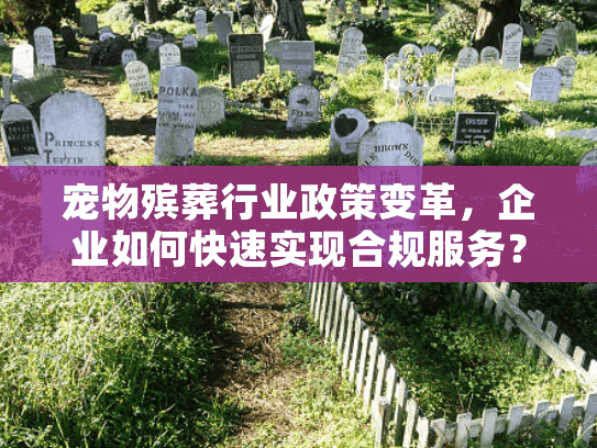宠物殡葬行业政策变革，企业如何快速实现合规服务？