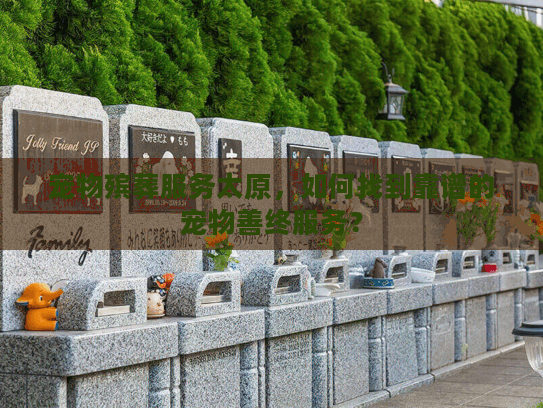 宠物殡葬服务太原，如何找到靠谱的宠物善终服务？