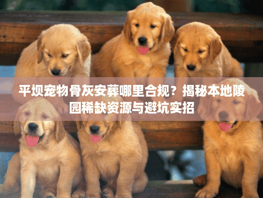 平坝宠物骨灰安葬哪里合规?揭秘本地陵园稀缺资源与避坑实招 平坝宠物骨灰安葬哪里合规?揭秘本地陵园稀缺资源与避坑实招