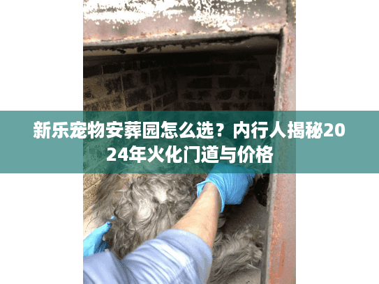 新乐宠物安葬园怎么选？内行人揭秘2024年火化门道与价格