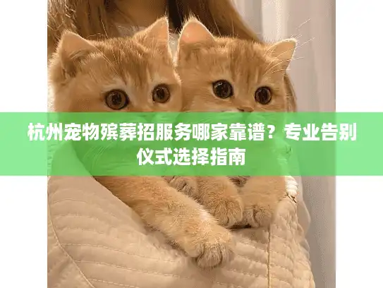 杭州宠物殡葬招服务哪家靠谱？专业告别仪式选择指南