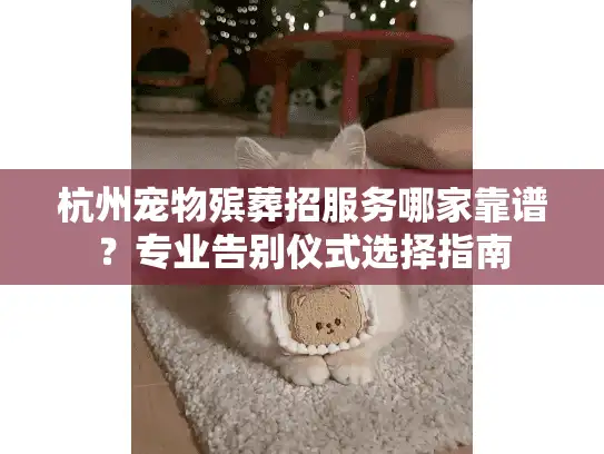 杭州宠物殡葬招服务哪家靠谱？专业告别仪式选择指南