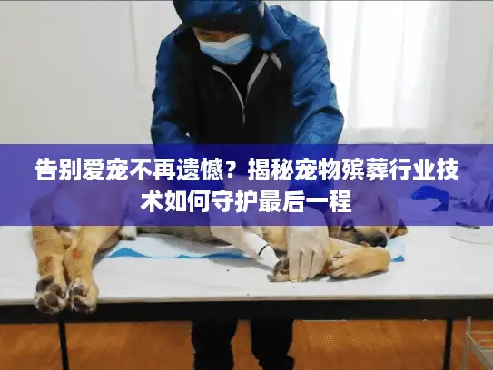 告别爱宠不再遗憾？揭秘宠物殡葬行业技术如何守护最后一程