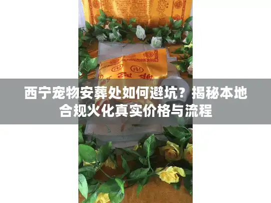 西宁宠物安葬处如何避坑？揭秘本地合规火化真实价格与流程