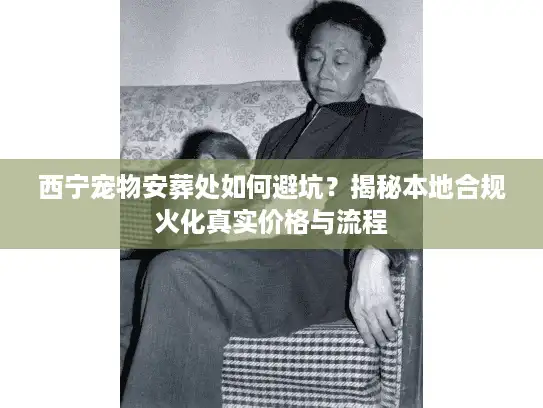 西宁宠物安葬处如何避坑？揭秘本地合规火化真实价格与流程