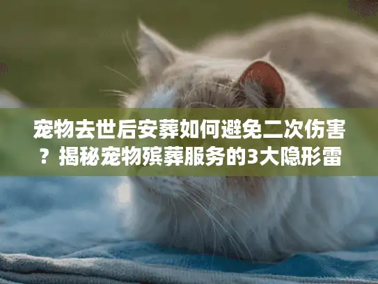 宠物去世后安葬如何避免二次伤害？揭秘宠物殡葬服务的3大隐形雷区