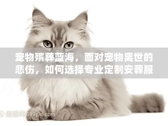 宠物殡葬蓝海,面对宠物离世的悲伤,如何选择专业定制安葬服务? 宠物殡葬蓝海,面对宠物离世的悲伤,如何选择专业定制安葬服务?