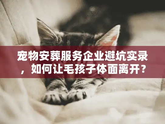 宠物安葬服务企业避坑实录，如何让毛孩子体面离开？