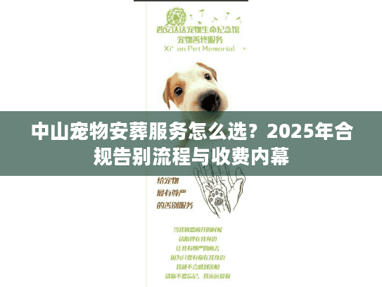 中山宠物安葬服务怎么选？2025年合规告别流程与收费内幕