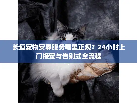 长垣宠物安葬服务哪里正规?24小时上门接宠与告别式全流程 长垣宠物安葬服务哪里正规?24小时上门接宠与告别式全流程