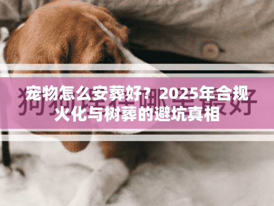 宠物怎么安葬好?2025年合规火化与树葬的避坑真相 宠物怎么安葬好?2025年合规火化与树葬的避坑真相