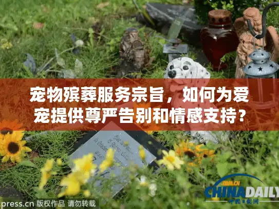 宠物殡葬服务宗旨，如何为爱宠提供尊严告别和情感支持？