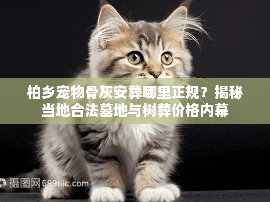 柏乡宠物骨灰安葬哪里正规?揭秘当地合法墓地与树葬价格内幕 柏乡宠物骨灰安葬哪里正规?揭秘当地合法墓地与树葬价格内幕