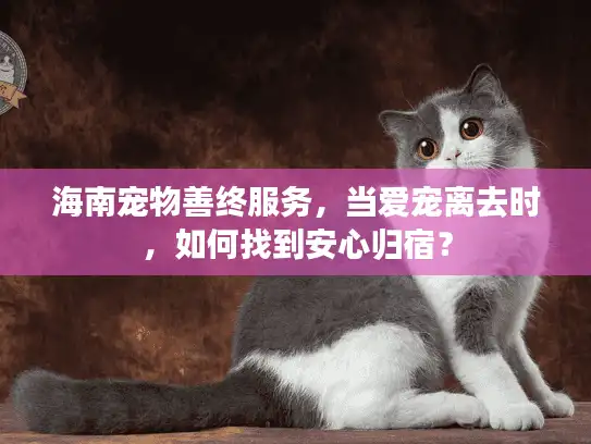 海南宠物善终服务,当爱宠离去时,如何找到安心归宿? 海南宠物善终服务,当爱宠离去时,如何找到安心归宿?