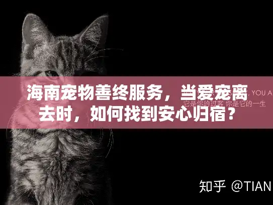 海南宠物善终服务,当爱宠离去时,如何找到安心归宿? 海南宠物善终服务,当爱宠离去时,如何找到安心归宿?