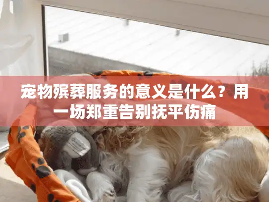 宠物殡葬服务的意义是什么？用一场郑重告别抚平伤痛