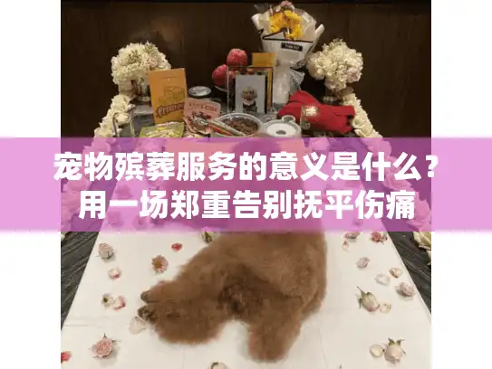 宠物殡葬服务的意义是什么？用一场郑重告别抚平伤痛