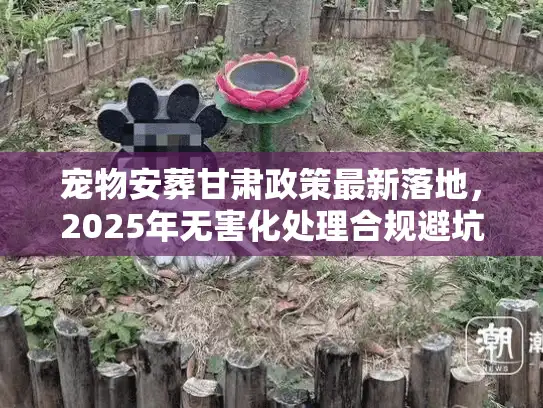 宠物安葬甘肃政策最新落地，2025年无害化处理合规避坑