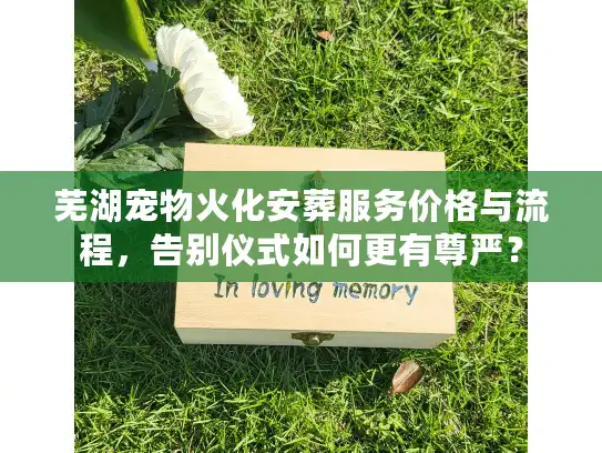 芜湖宠物火化安葬服务价格与流程，告别仪式如何更有尊严？