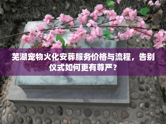 芜湖宠物火化安葬服务价格与流程，告别仪式如何更有尊严？