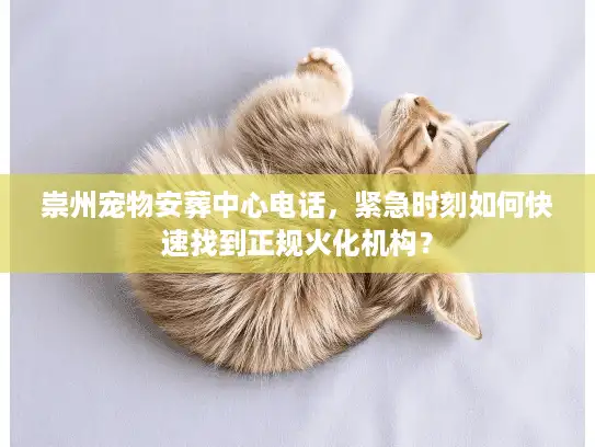 崇州宠物安葬中心电话，紧急时刻如何快速找到正规火化机构？