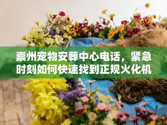 崇州宠物安葬中心电话，紧急时刻如何快速找到正规火化机构？