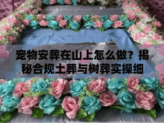 宠物安葬在山上怎么做？揭秘合规土葬与树葬实操细节