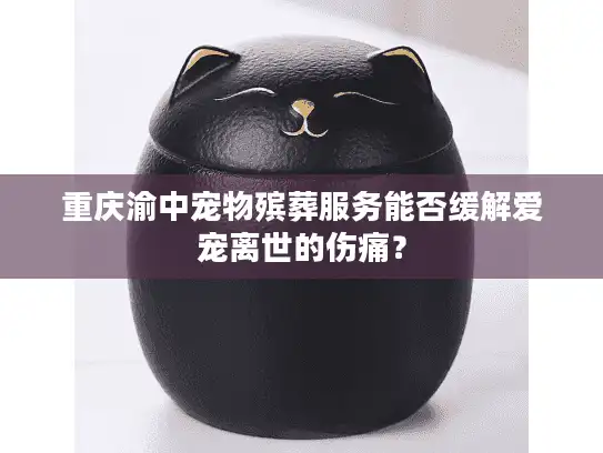 重庆渝中宠物殡葬服务能否缓解爱宠离世的伤痛？