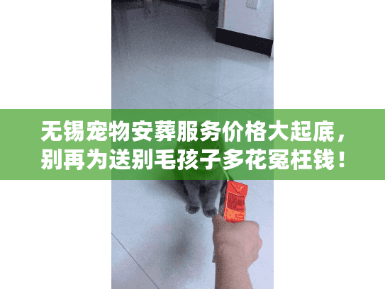 无锡宠物安葬服务价格大起底，别再为送别毛孩子多花冤枉钱！