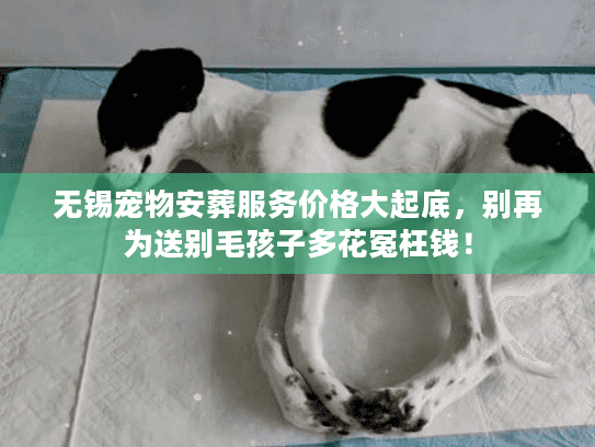 无锡宠物安葬服务价格大起底，别再为送别毛孩子多花冤枉钱！