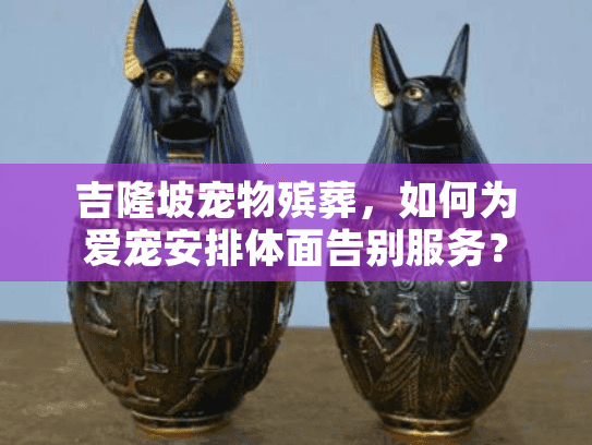 吉隆坡宠物殡葬，如何为爱宠安排体面告别服务？