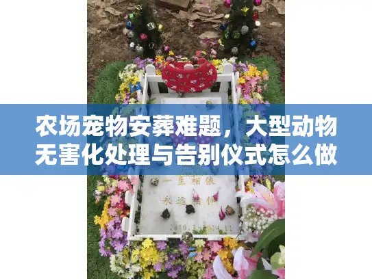 农场宠物安葬难题，大型动物无害化处理与告别仪式怎么做