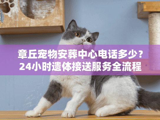 章丘宠物安葬中心电话多少？24小时遗体接送服务全流程