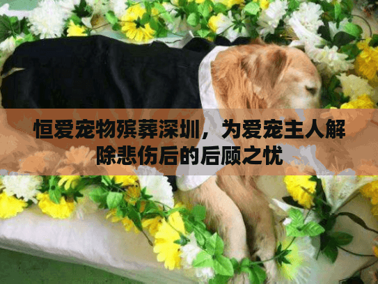 恒爱宠物殡葬深圳，为爱宠主人解除悲伤后的后顾之忧