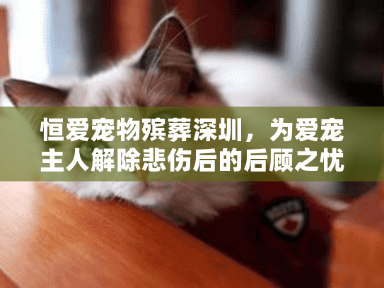 恒爱宠物殡葬深圳，为爱宠主人解除悲伤后的后顾之忧
