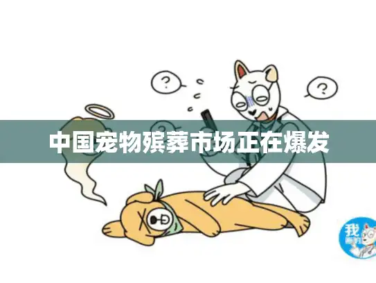 中国宠物殡葬市场正在爆发