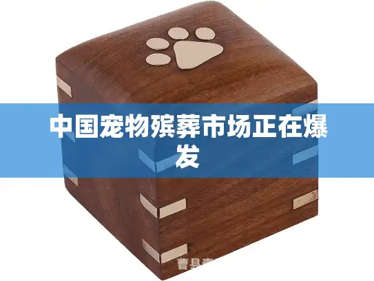 中国宠物殡葬市场正在爆发