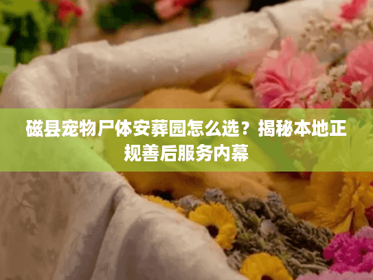 磁县宠物尸体安葬园怎么选？揭秘本地正规善后服务内幕
