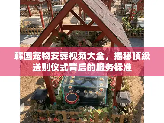 韩国宠物安葬视频大全,揭秘顶级送别仪式背后的服务标准 韩国宠物安葬视频大全,揭秘顶级送别仪式背后的服务标准