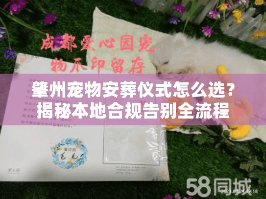 肇州宠物安葬仪式怎么选?揭秘本地合规告别全流程 肇州宠物安葬仪式怎么选?揭秘本地合规告别全流程