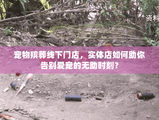 宠物殡葬线下门店，实体店如何助你告别爱宠的无助时刻？