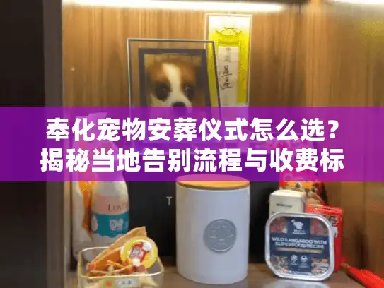 奉化宠物安葬仪式怎么选？揭秘当地告别流程与收费标准