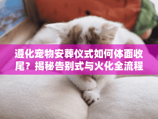 遵化宠物安葬仪式如何体面收尾？揭秘告别式与火化全流程