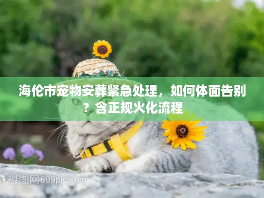 海伦市宠物安葬紧急处理，如何体面告别？含正规火化流程