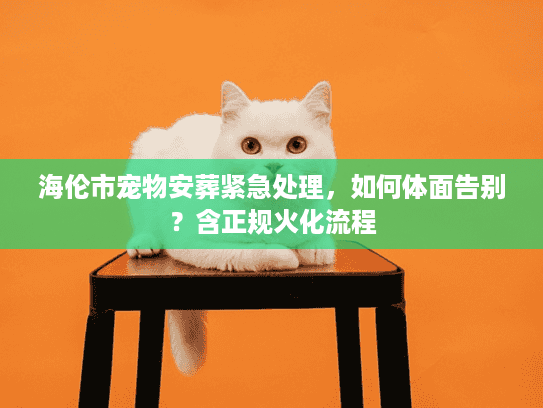 海伦市宠物安葬紧急处理，如何体面告别？含正规火化流程