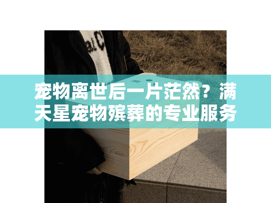 宠物离世后一片茫然？满天星宠物殡葬的专业服务带给你宁静告别