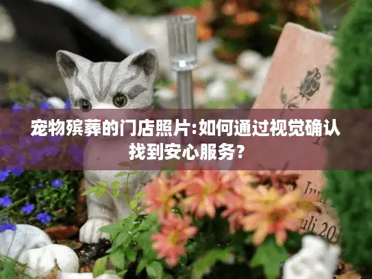 宠物殡葬的门店照片:如何通过视觉确认找到安心服务? 宠物殡葬的门店照片:如何通过视觉确认找到安心服务?
