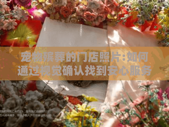 宠物殡葬的门店照片:如何通过视觉确认找到安心服务? 宠物殡葬的门店照片:如何通过视觉确认找到安心服务?