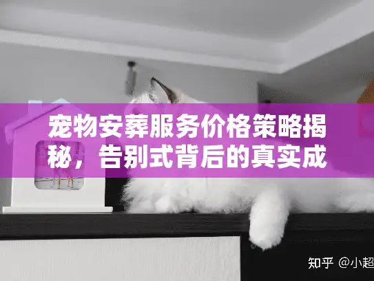 宠物安葬服务价格策略揭秘,告别式背后的真实成本 宠物安葬服务价格策略揭秘,告别式背后的真实成本